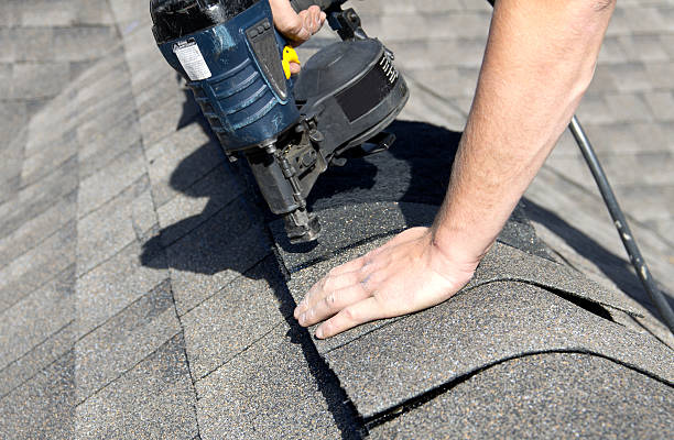 Trusted Pelican Bay, FL Roofing services Experts